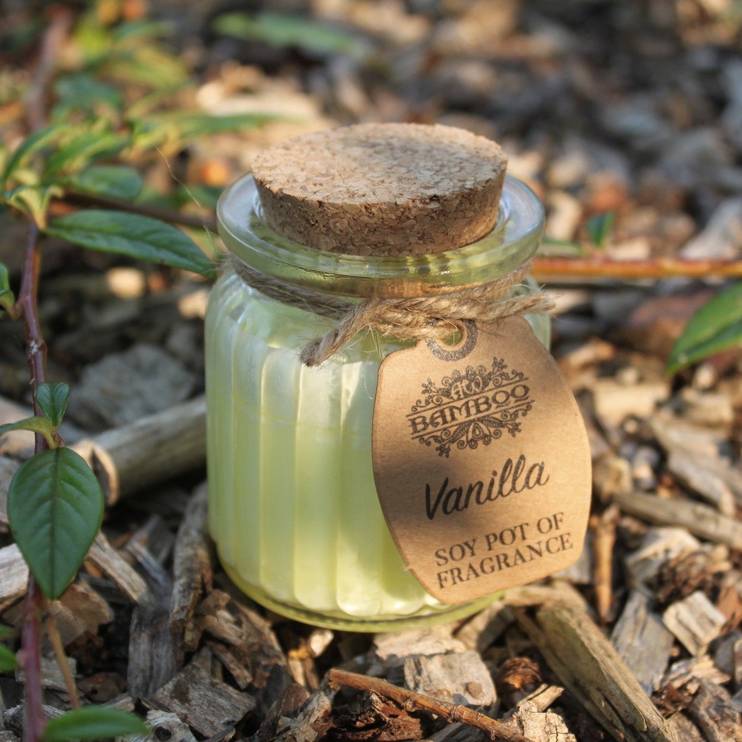 Vanilla Soy Candle - Ghost Café Comfort & Solace Scent